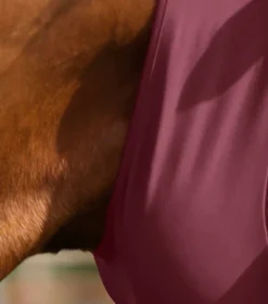 Premier Equine Comfort Tech Lycra Fly Mask Wine -PREMIER EQUINE Comfort Tech Lycra Fly Mask Wine 3
