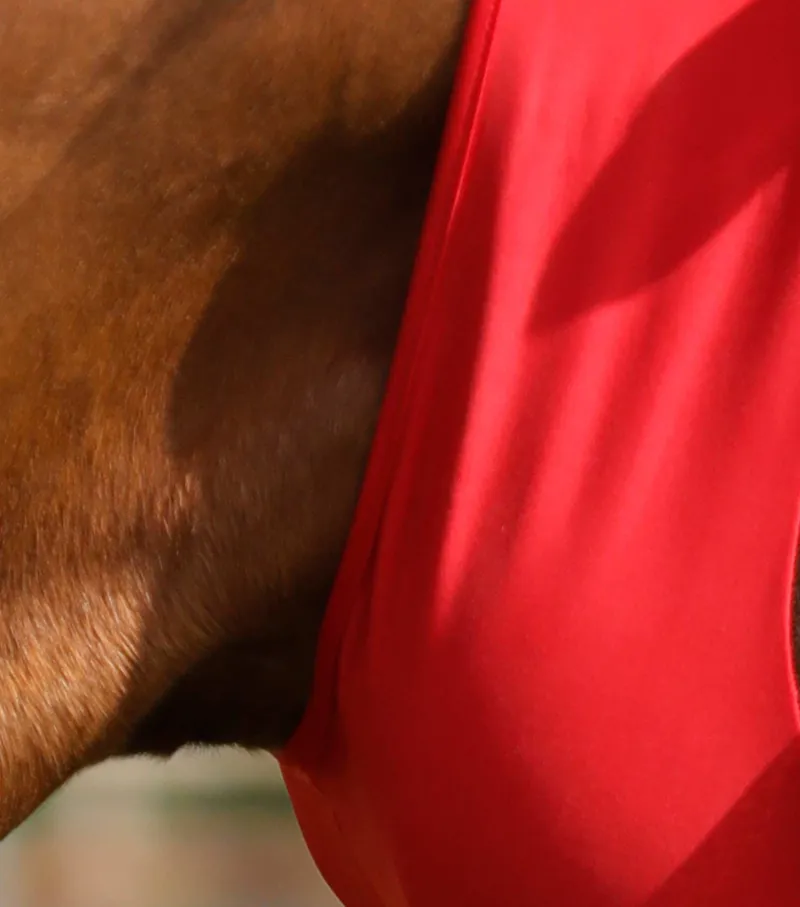 Premier Equine Comfort Tech Xtra Lycra Fly Mask Red 3 Premier Equine Comfort Tech Xtra Lycra Fly Mask Red - Image 3