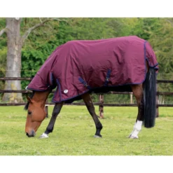JHL Essential Heavyweight Combo Turnout Rug In Burgundy/Navy
