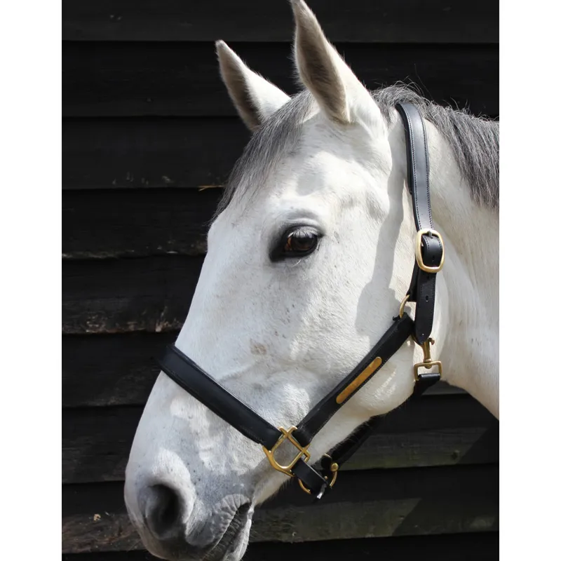 JHL Leather Headcollar In Black 1 JHL Leather Headcollar In Black