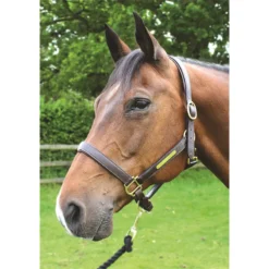 JHL Leather Headcollar In Brown