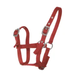 JHL Foal Headcollar In Red