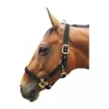 JHL Padded Headcollar In Black