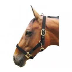 JHL Padded Headcollar In Black