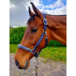 KM Elite Leather Webbing Headcollar In Navy/Black