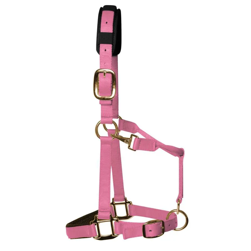 KM Elite Padded Headcollar In Baby Pink 1 KM Elite Padded Headcollar In Baby Pink