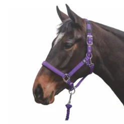 Mark Todd Deluxe Padded Headcollar W/Lead Rope In Purple