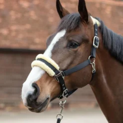 Mark Todd Fleece Lined Headcollar W/Lead Rope In Black/Natural