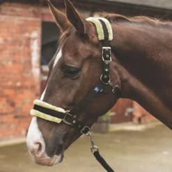 Mark Todd Fleece Lined Headcollar W/Lead Rope In Brown/Natural