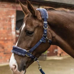 Mark Todd Fleece Lined Headcollar W/Lead Rope In Navy/Navy