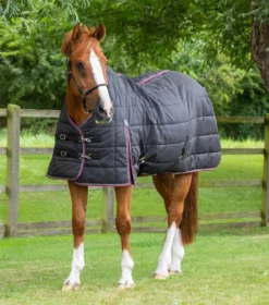 Premier Equine Garissa Stable Rug 200g Black