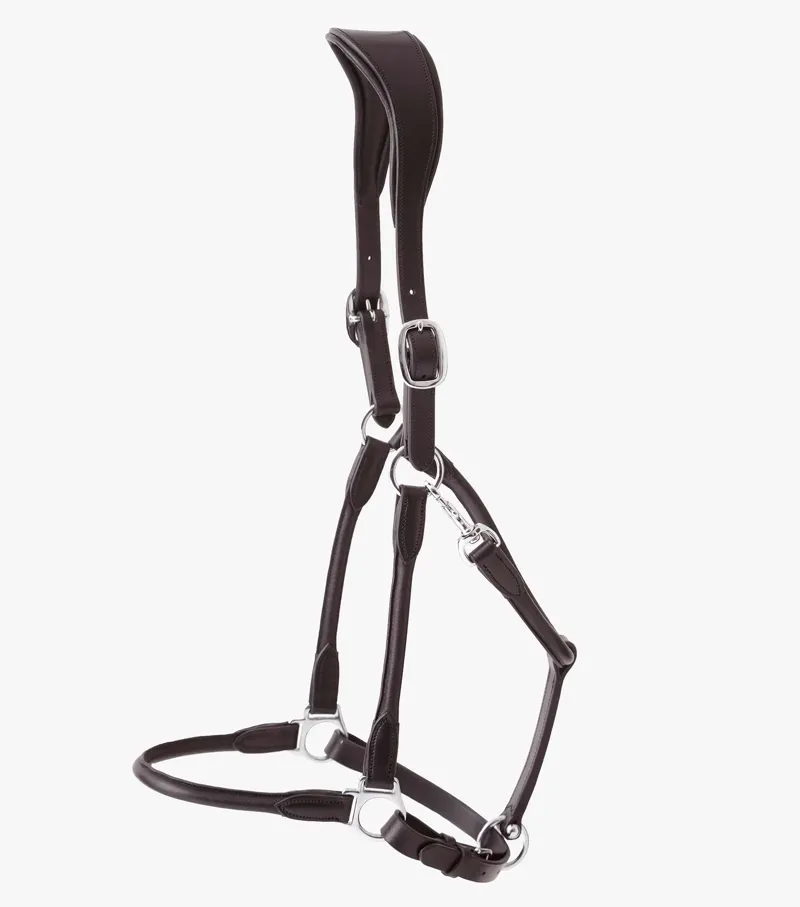 Premier Equine Hennaroso Rolled Anatomic Leather Headcollar Brown 2 Premier Equine Hennaroso Rolled Anatomic Leather Headcollar Brown - Image 2