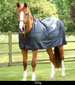 Premier Equine 350g Horse Rug Liner Black