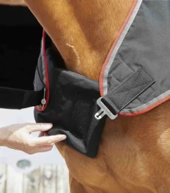Premier Equine Horse Walker 100g Rug Black -PREMIER EQUINE Horse Walker Rug 100 Black 3