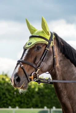 LeMieux Loire Fly Hood Kiwi 3 LeMieux Loire Fly Hood Kiwi -PREMIER EQUINE IT02695 lifestyle loireflyhood kiwi 1
