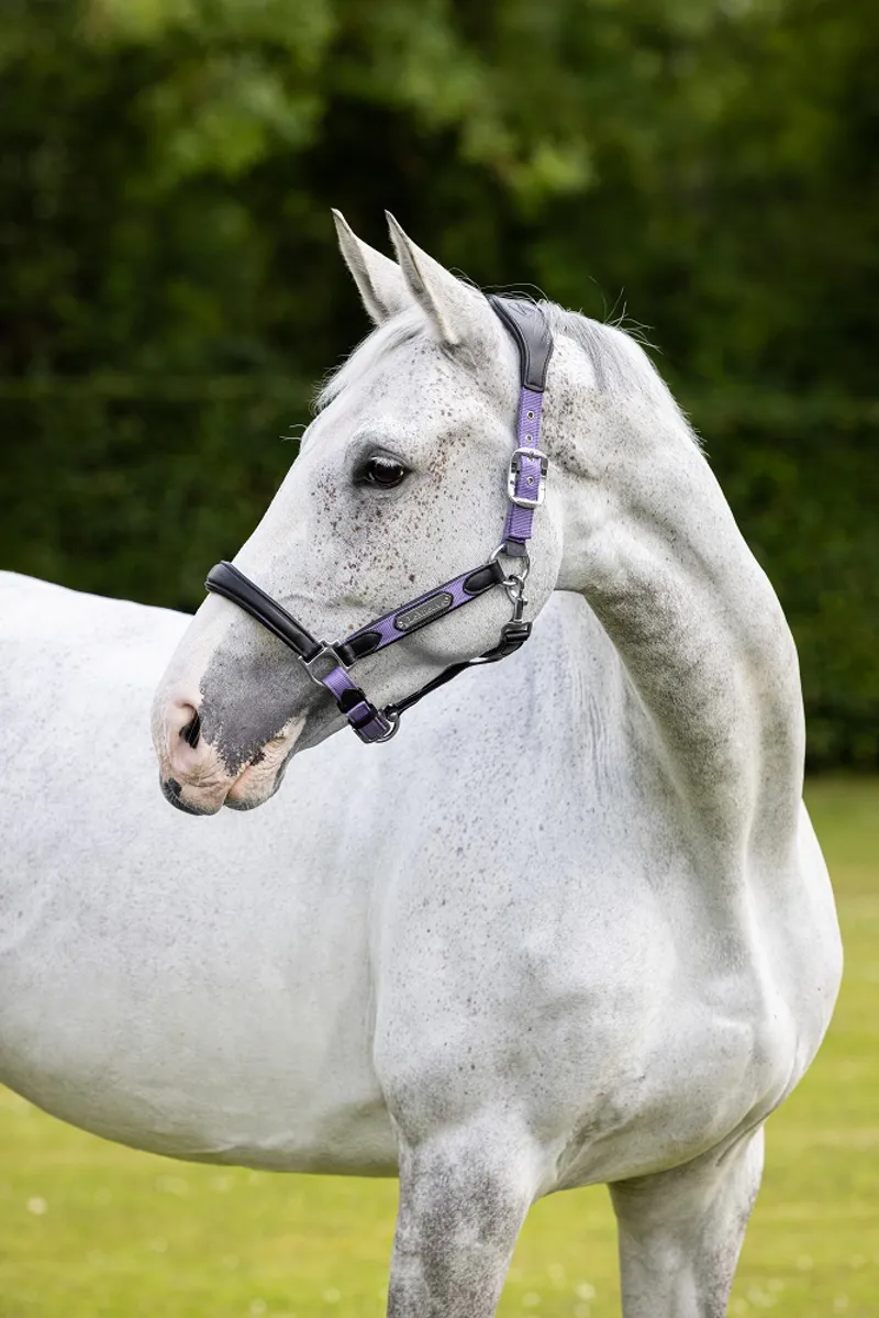LeMieux Capella Head Collar Iris 2 LeMieux Capella Head Collar Iris - Image 2