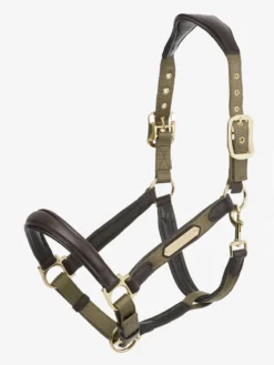 LeMieux Capella Head Collar Forest