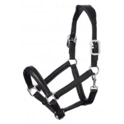 LeMieux Anatomic Headcollar Black
