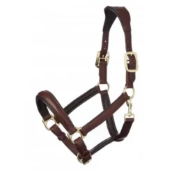 LeMieux Anatomic Headcollar Brown