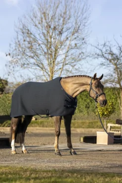 LeMieux Arika Clima-Tek Rug Navy 15 LeMieux Arika Clima-Tek Rug Navy -PREMIER EQUINE LeMieux Arika ClimaTek Rug 13