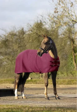 LeMieux Arika Clima-Tek Rug Burgundy -PREMIER EQUINE LeMieux Arika ClimaTek Rug 7