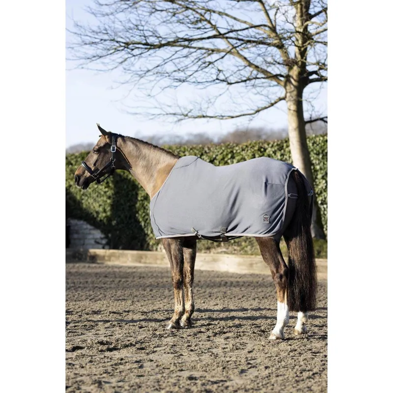 LeMieux Arika Jersey-Tek Rug Grey 5 LeMieux Arika Jersey-Tek Rug Grey - Image 5