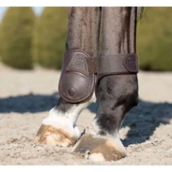 LeMieux Capella Fetlock Boots Brown -PREMIER EQUINE LeMieux Capella Fetlock Boots 8