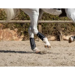 LeMieux Carbon Air XC Hind Boots Black -PREMIER EQUINE LeMieux Carbon Air XC Boots Black 11