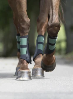 LeMieux Grafter Brushing Boot Hunter Green -PREMIER EQUINE LeMieux Grafter Brushing Boots Hunter Green 4