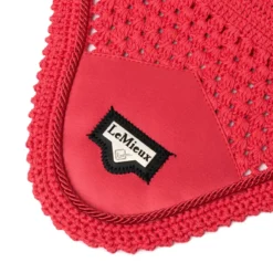 LeMieux Loire Fly Hood Papaya -PREMIER EQUINE LeMieux Loire Satin Fly Hood Papaya 4