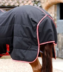 Premier Equine Lucanta Demi Stable Rug 200g Black -PREMIER EQUINE Lucanta Demi Stable Rug 200 Black 6
