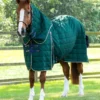 Premier Equine Lucanta 200g Stable Rug With Neck Cover Green