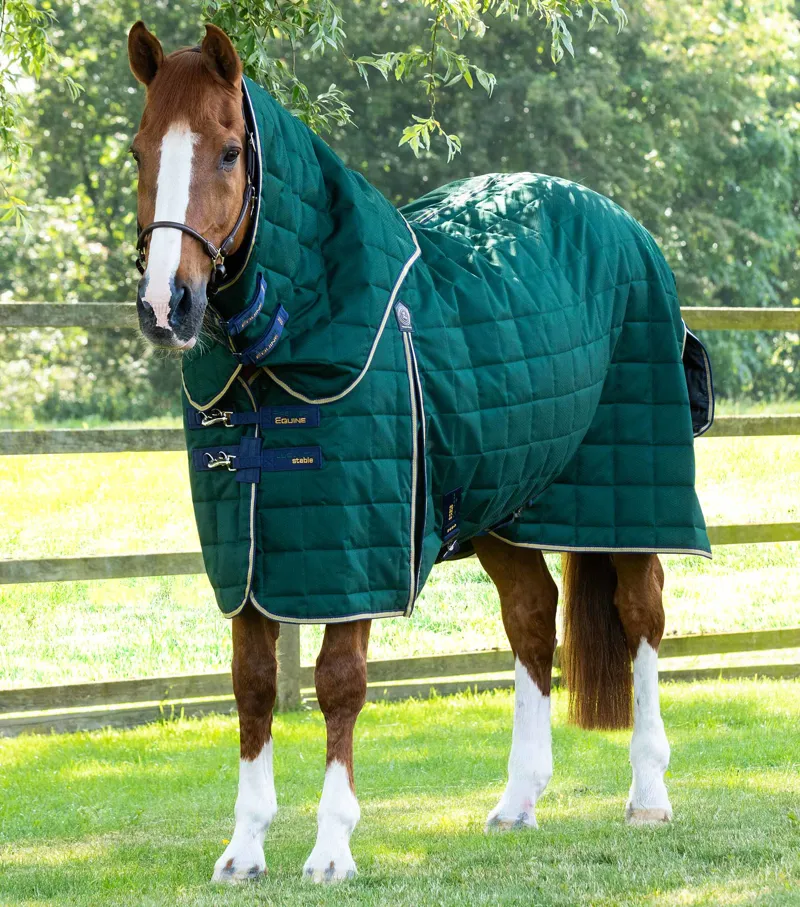 Premier Equine Lucanta 200g Stable Rug With Neck Cover Green 1 Premier Equine Lucanta 200g Stable Rug With Neck Cover Green