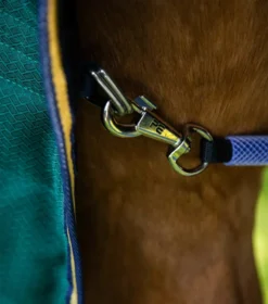 Premier Equine Lucanta 200g Stable Rug With Neck Cover Green 10 Premier Equine Lucanta 200g Stable Rug With Neck Cover Green -PREMIER EQUINE Lucanta Stable Green Image 5 RGB