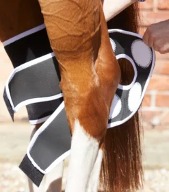 Premier Equine Magni-Teque Magnetic Hock Boots Black -PREMIER EQUINE Magni Teque Magnet Hock Boots 3