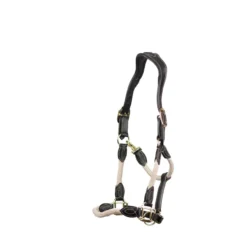 Cameo Anatomic Leather Headcollar Natural