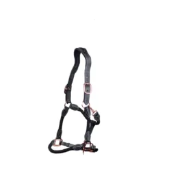 Cameo Anatomic Leather Headcollar Black