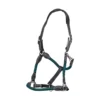 Cameo Anatomic Leather Headcollar Green