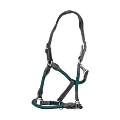 Cameo Anatomic Leather Headcollar Green