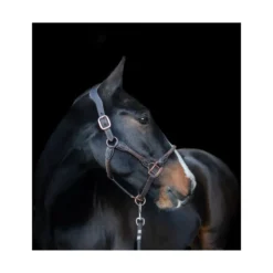 Cameo Anatomic Leather Headcollar Brown -PREMIER EQUINE P ANA LEA HEAD COL C230 10