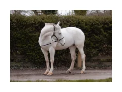 Cameo Anatomic Leather Headcollar Black -PREMIER EQUINE P ANA LEA HEAD COL C230 12