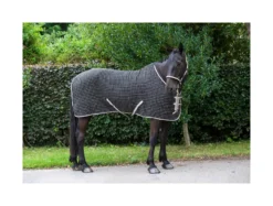 Cameo Cooler Rug - Black-Gold