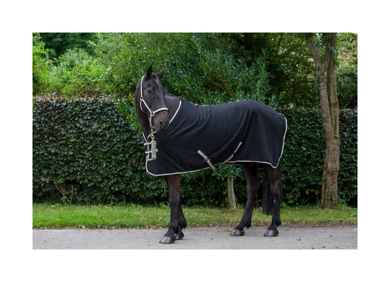 Cameo Fleece Rug - Black-Gold 1 Cameo Fleece Rug - Black-Gold