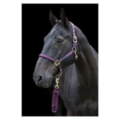 Cameo Headcollar And Lead Rope - Navy-Burgundy