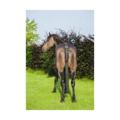 Cameo Tail Guard And Bag - Black -PREMIER EQUINE P COR COL TAI GUA BAG c813 02