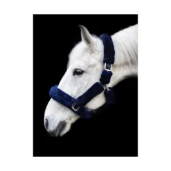 Cameo Deluxe Headcollar - Navy