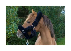 Cameo Deluxe Headcollar - Navy -PREMIER EQUINE P DEL HEA COL WIT ROP C504NVY 11