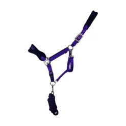 Cameo Elite Headcollar And Rope - Purple-Navy - Cob