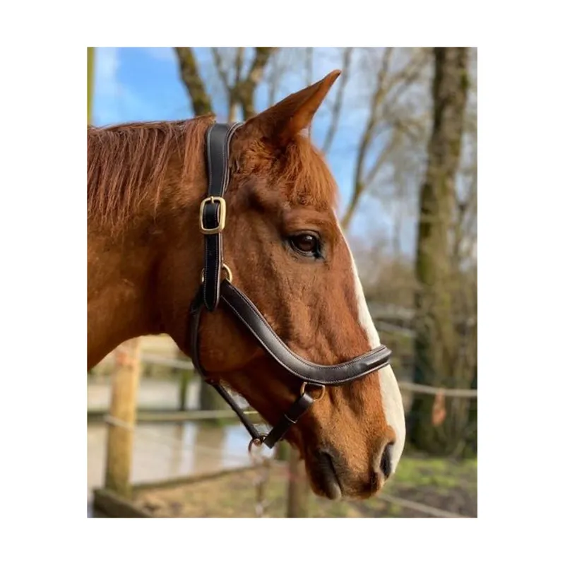 EcoRider Freedom Leather Headcollar - Brown 1 EcoRider Freedom Leather Headcollar - Brown