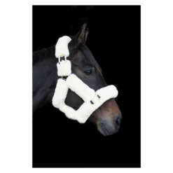 EcoRider Supreme Headcollar